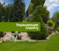 Анонс сюжета о садовом центре Веры Глуховой