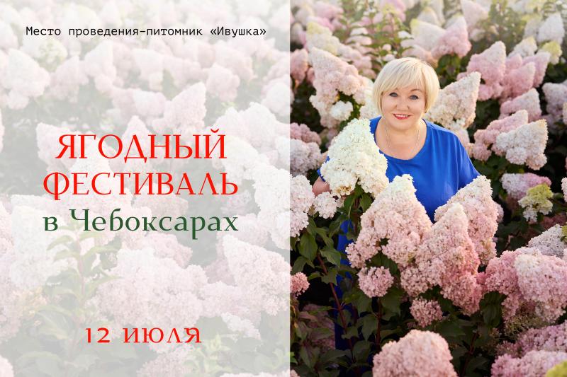 Ягодный фестиваль!