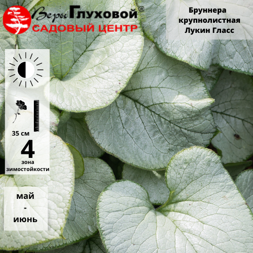 Основное изображение товара