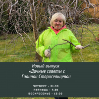 Анонс ноябрьского выпуска передачи "Дачные советы"