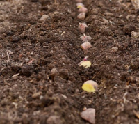 Продолжаем делиться новостями о посадке