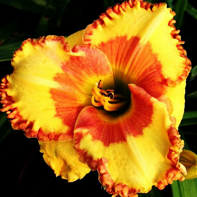 Основное изображение товара