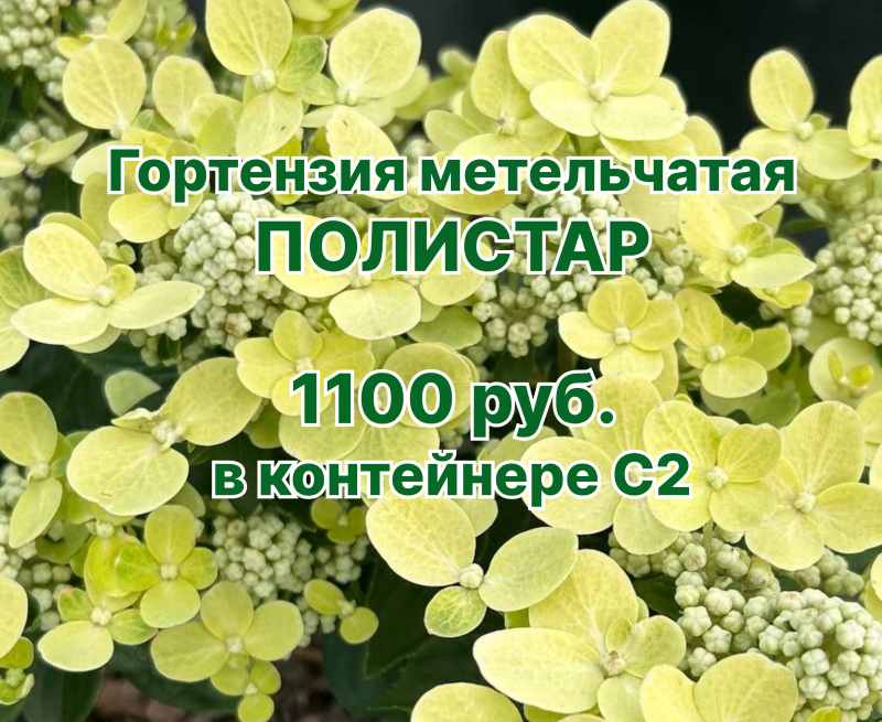 Ураган скидок 