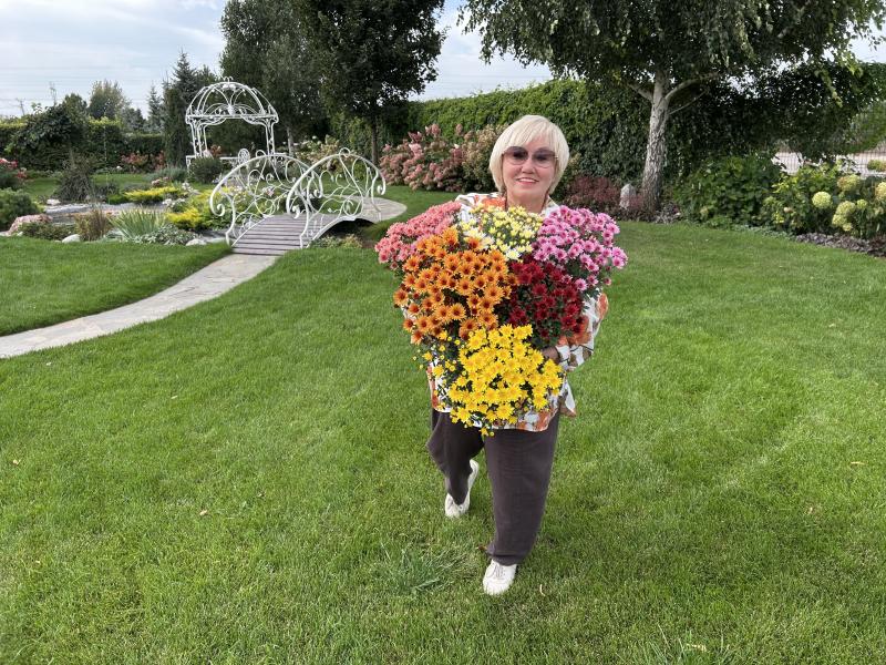 Хризантема мультифлора