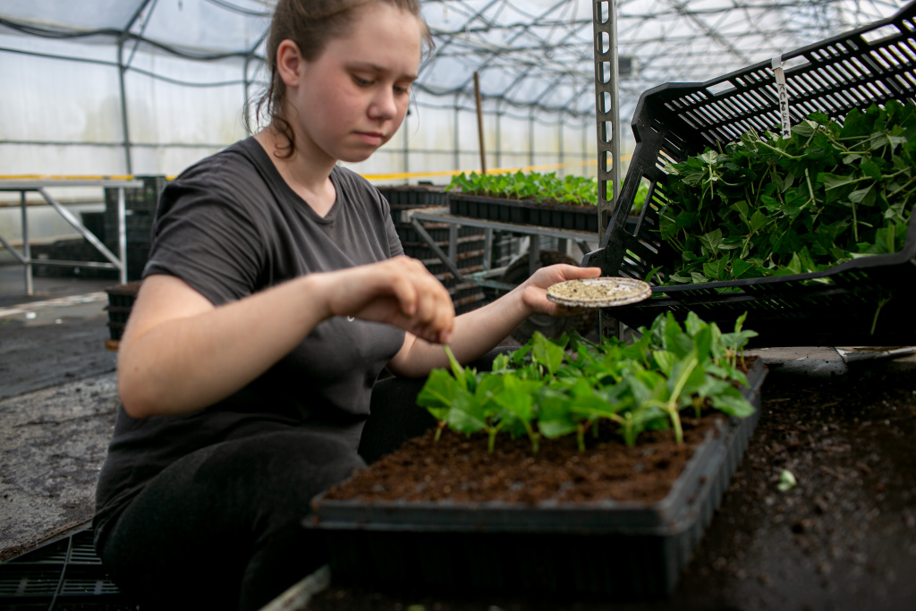 14 посадка в мультиплаты .jpg 14 посадка в мультиплаты .jpg