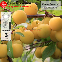 Рисунок 197.jpg