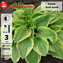 Основное изображение товара