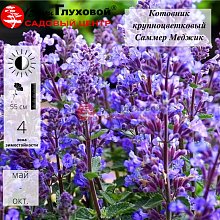 Основное изображение товара