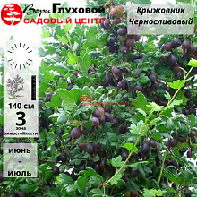 Рисунок 119.jpg