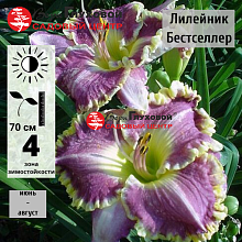 Основное изображение товара