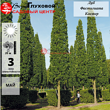 Основное изображение товара