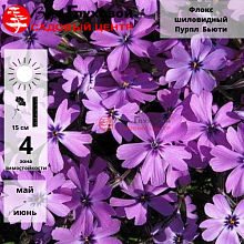 Основное изображение товара