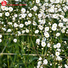 Основное изображение товара