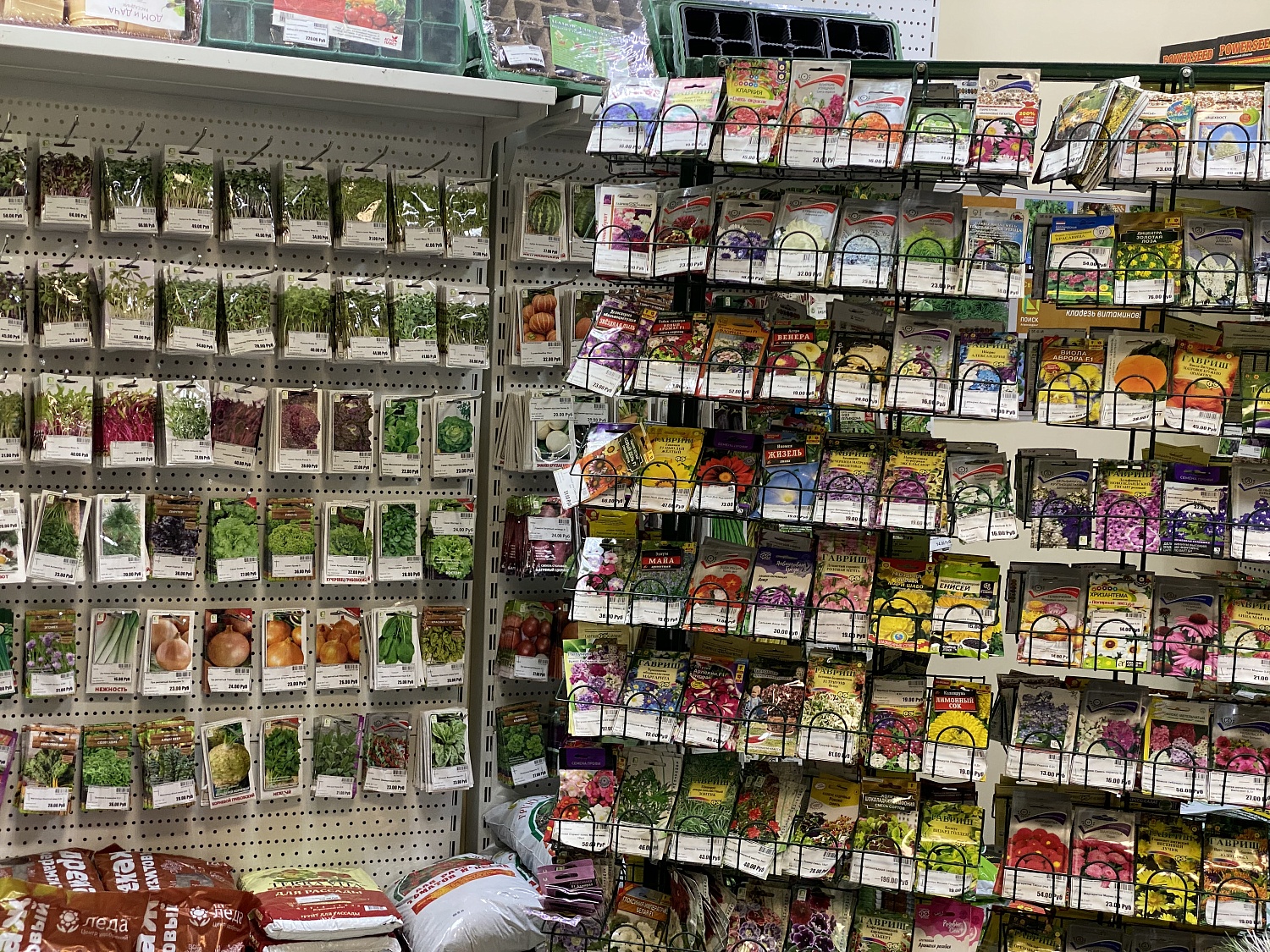 НОВОЕ ПОСТУПЛЕНИЕ СЕМЯН ОТ ФИРМЫ ПОИСК